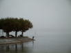 Bodensee11100.jpg